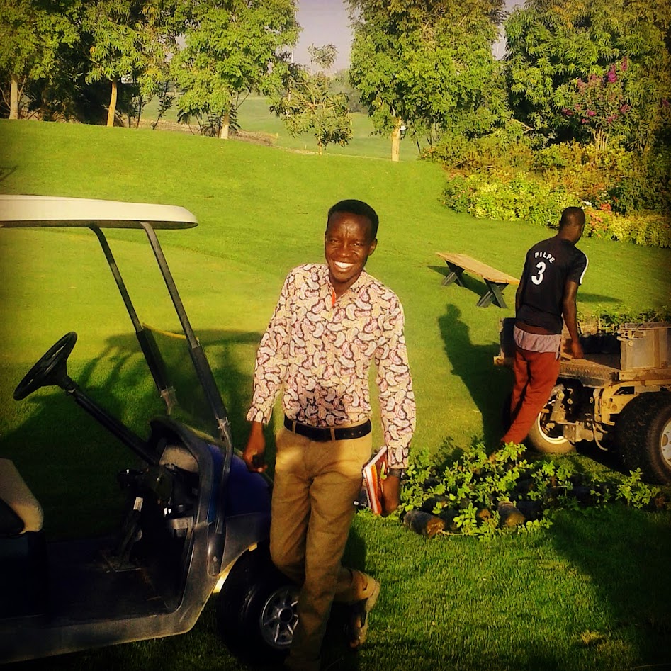 Deploying IT solutions across service sectors